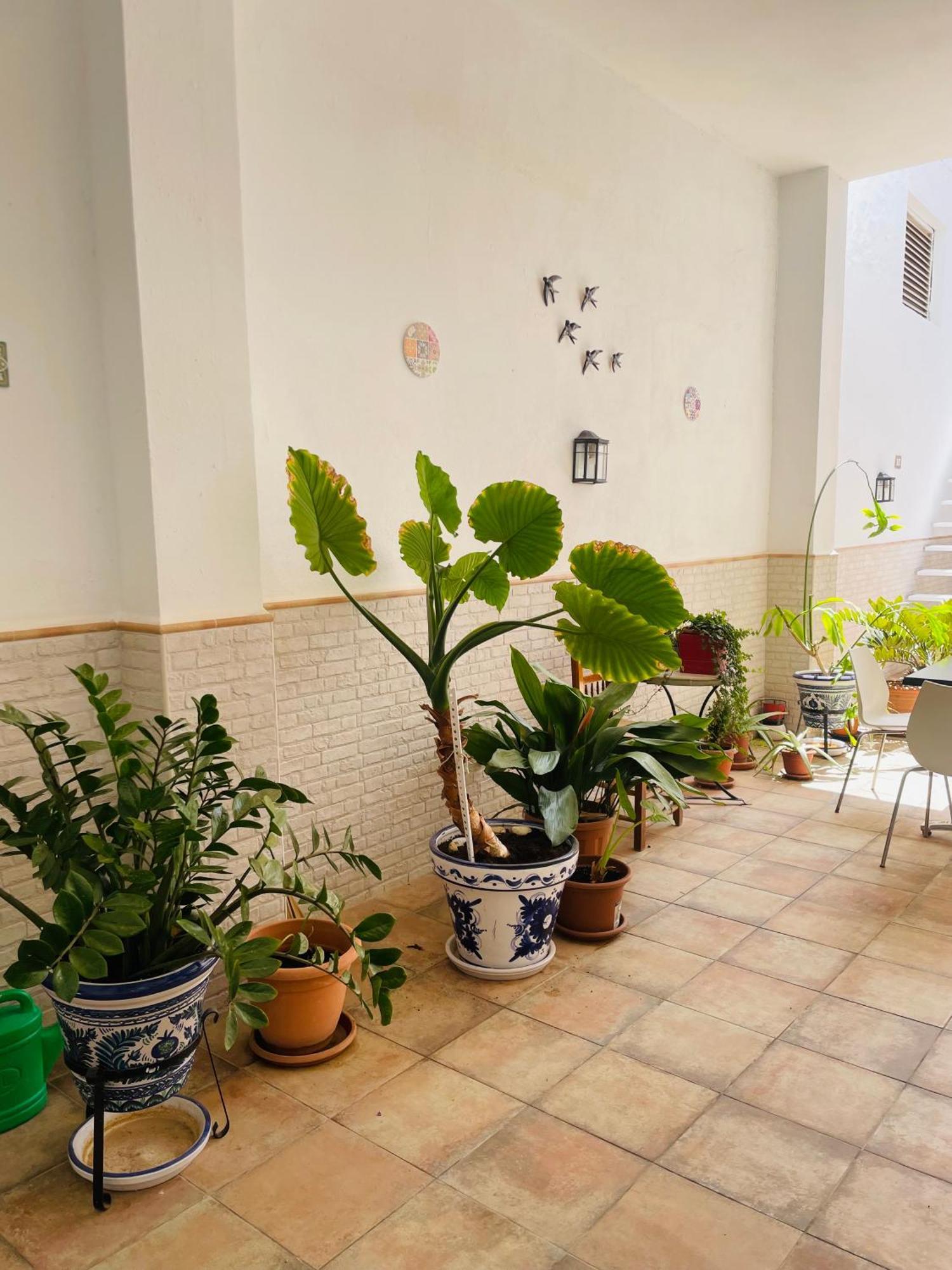 Patio De Los Barberos Valle de Abdalagís Εξωτερικό φωτογραφία